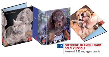 RACCOGLITORE 4 ANELLI A4 D.30 DOLCI CUCCIOLI PIGNA 023113430