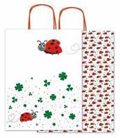 SHOPPERS ALLEGRA COCCINELLE 36X12X36 CF25 SDX36-238H