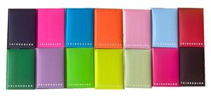 DIARIO 10 MESI 11X15 MONOCOLORE THINK COLOR