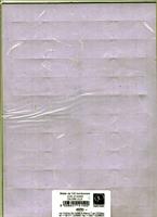 BIGLIETTI 9,2X2,5 BOMBONIERA LILLA PZ100 214/200 PAPETERIE