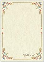 PERGAMENA FIORENTINO LA LEONARDINA A4 160 GR DA 12 1920-3/A4 049