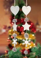 DECORI NATALE APP.LI IN LEGNO 2COL 40120
