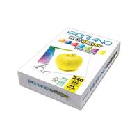 CARTA FABRIANO IMAGING PRO A4 240GR 150FG BIANCA 50621297