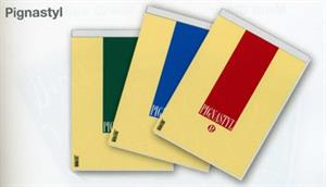 BLOC NOTES 15X21 PIGNASTYL 5MM 70FG 80GR CF10 2137475M