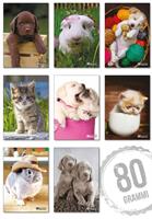 SUPERMAXI 10MM 80GR 20+1FF COP.240GR CIAC BABY FRIENDS CF10 6208