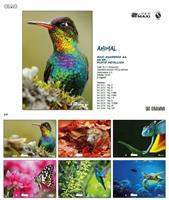 SUPERMAXI CIAC COP.240GR FG.20+1 ANIMAL RIG. 1R 6216