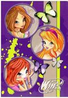 QUAD.MAXI GIOCHI PREZIOSI WINX 14 18F 100G RIG.A CF12 86975