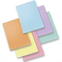 MAXI 1R 80GR 20+1 MONOCROMO PASTEL CF10 02298901R 0780