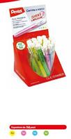 GOMMA PENTEL COLORATA CLICK ERASER ZE81 0100961 478