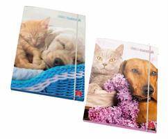 CARTELLA C/ELAST. 26X36 DOLCI CUCCIOLI D.1,2 PIGNA 02308163L