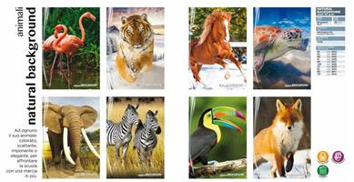 MAXI BLASETTI 80GR 20+1FF R+V NATURAL BACKGROUND RIG. A 6533