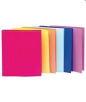 RACCOGLITORE A4 D.25 4 ANELLI PPL CHIUS ZIP TOUCH-TIFFANY ASS.Z5