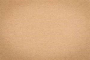 CARTA KRAFT AVANA A3 200 GR GS DA 50 EA30490/BL50
