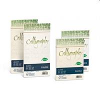 BUSTE CALLIGRAPHY NATURE 12X18 PZ25 FAVINI AVORIO