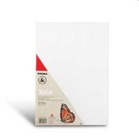 TELA PITTURA CMP 30X40 CM 462TE30X40