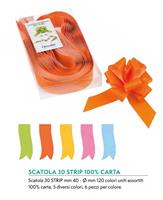 SCATOLA 30 STRIP ASSORTITE 40MM 120MM COLORI UNITI 024220-99 386