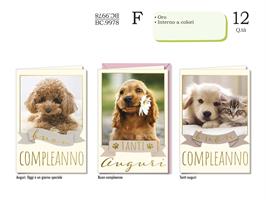 BIGLIETTI AUGURI COMPLEANNO CUCCIOLI 11,5x17 CROMO BC.9978 182