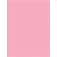 GOMMA EVA 40X60 ROSA 10 FG 23NIK148