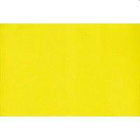 GOMMA EVA 40X60 GIALLO 10 FG 987427-9