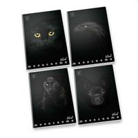 MAXI Q 100GR 38FF PIGNA MONOCROMO BLACK CF10 02303370Q 0787