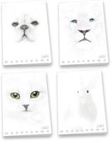 MAXI Q 100GR 38FF PIGNA MONOCROMO WHITE CF10 02307910Q 0794