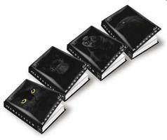 DIARIO PIGNA MONOCROMO BLACK 12 MESI 320PG 0230499DL 380