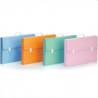 VALIGETTA POLIONDA 56,5X36,5X5 PASTEL MONTATA 2CH 100501081 0012