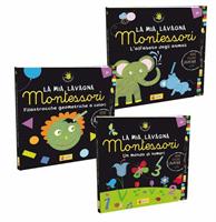 LIBRO MONTESSORI LAVAGNA LISCIANI 10873-897-910-958-934 608