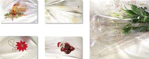 CELLOPHANE TRASPARENTE NATALE PIEGATO 100X130 25FG NT.0280 169
