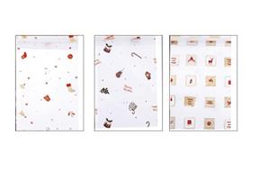 CELLOPHANE FANTASIA 100X130 ASS. CF25 PIEGATO FF051TJ