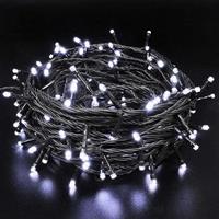 LUCI NATALE EST.LED 300L BIANCO 8 FUNZ. 25812606