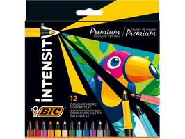 PENNARELLO BIC INTENSITY PREMIUM CF12 977891
