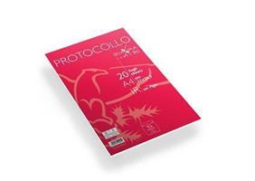 CARTA PROTOCOLLO PIGNA 1R 80GR 20FF 02322641R 0811