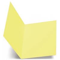 CARTELLA ATTI S/LEMBI FAVINI 25X34 200GR G.SOLE 50PZ A50B664