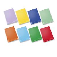 MAXI PIGNA MONOCROMO ALTA FOGL 100GR 50FF RIG.B 02303620B 0762