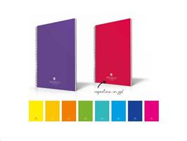 MAXI SPIRALATO PPL SMILE 1R FG80 70GR 64SMLSA41R