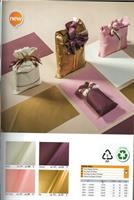 BUSTE REGALO 25x40 WINTER PERLATO NEW ASS. CF100 X895063254017