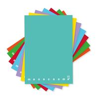 MAXI Q 100GR 38FF PIGNA MONOCROMO CF10 2298880Q