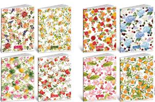 MAXI 5MM 80GR 42FF PETITS FRUITS HARD TOP BLASETTI CF10 6737