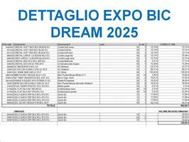 BIC EXPO DREAM 2025 DETTAGLIO