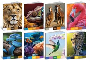 MAXI 10MM 80GR 42FF ANIMALI BLASETTI CF10 8949