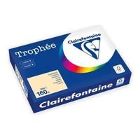 CARTA CLAIREFONTAINE TROPHEE A4 160GR 250FG CAMOSCIO 1040PC