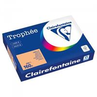 CARTA CLAIREFONTAINE TROPHEE A4 160GR 250F ALBICOCCA 1011PC