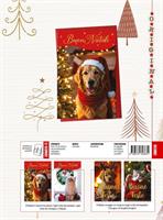 BIGLIETTI NATALE ORIGINAL 12PZ CRS0515