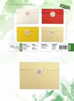 BIGLIETTI CARTA GELSO 11,5X17 CF12 SPC0113