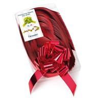 SPEEDY PREPARATO 31MM SCATOLA 30PZ SPLENDID ROSSO 003140-07 301