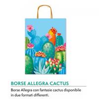 SHOPPERS ALLEGRA CACTUS DIS. 005J 36X12X46 CF25 SDX36-005J 332