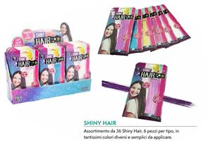 ASSORTIMENTO SHINY HAIR 36PZ (6 X TIPO) COL ASS NICE 02900 401