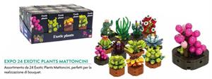 EXOTIC PLANTS MATTONCINI ASSORTIMENTO EXPO 24PZ NICE 78040 418
