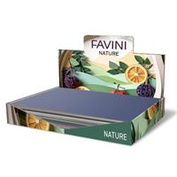 CARTA NATURE 25X35 250GR 130FG 16 COL EXPO FAVINI G99X314 1074